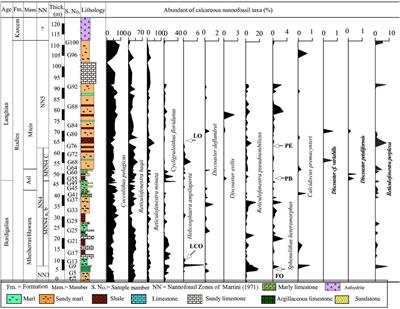 Calcareous nannofossil biostratigraphy, bioevents, and palaeoecological interpretation of the lower-middle Miocene outcrops in west central Sinai (Egypt)